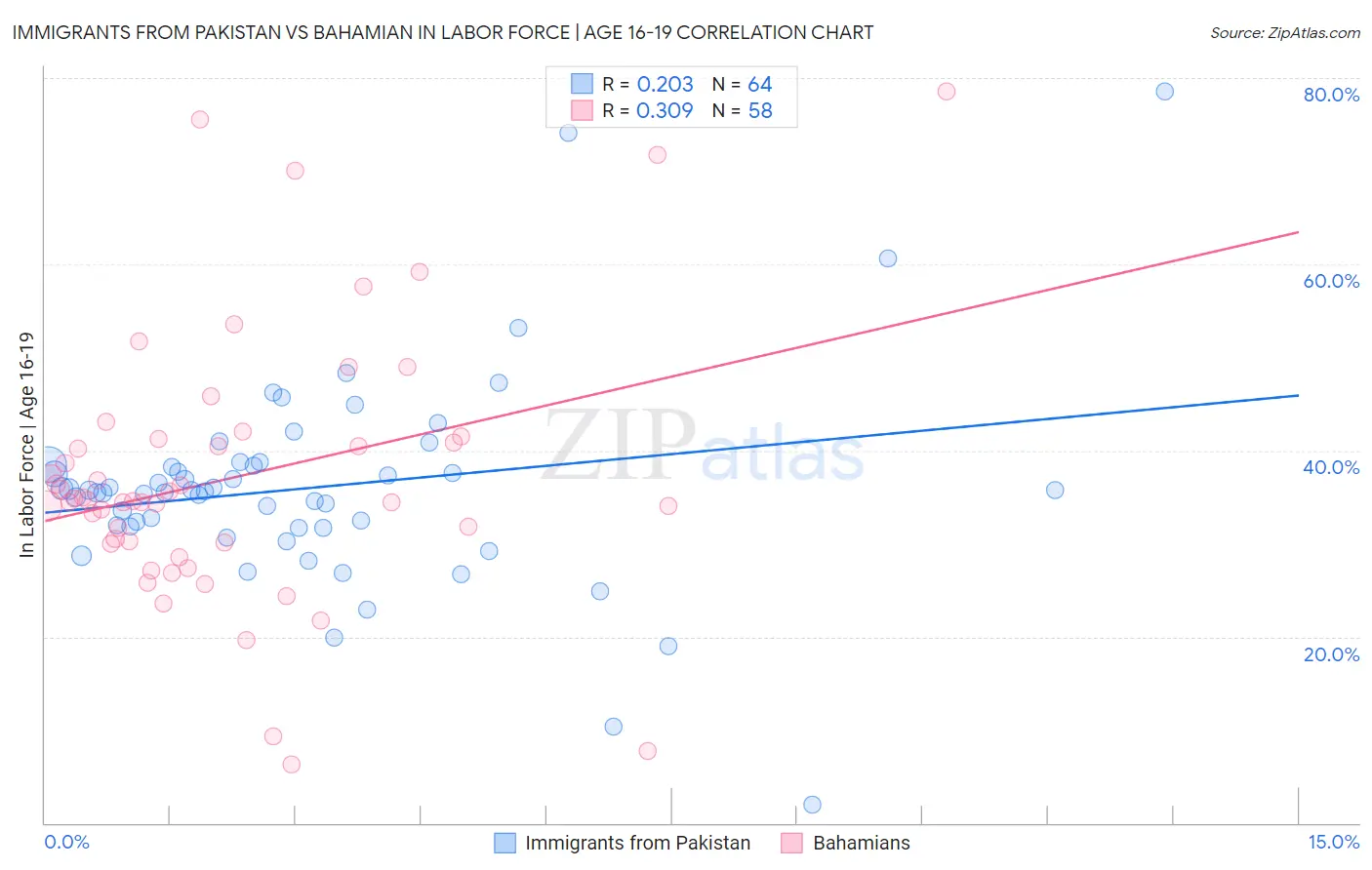 Immigrants from Pakistan vs Bahamian In Labor Force | Age 16-19