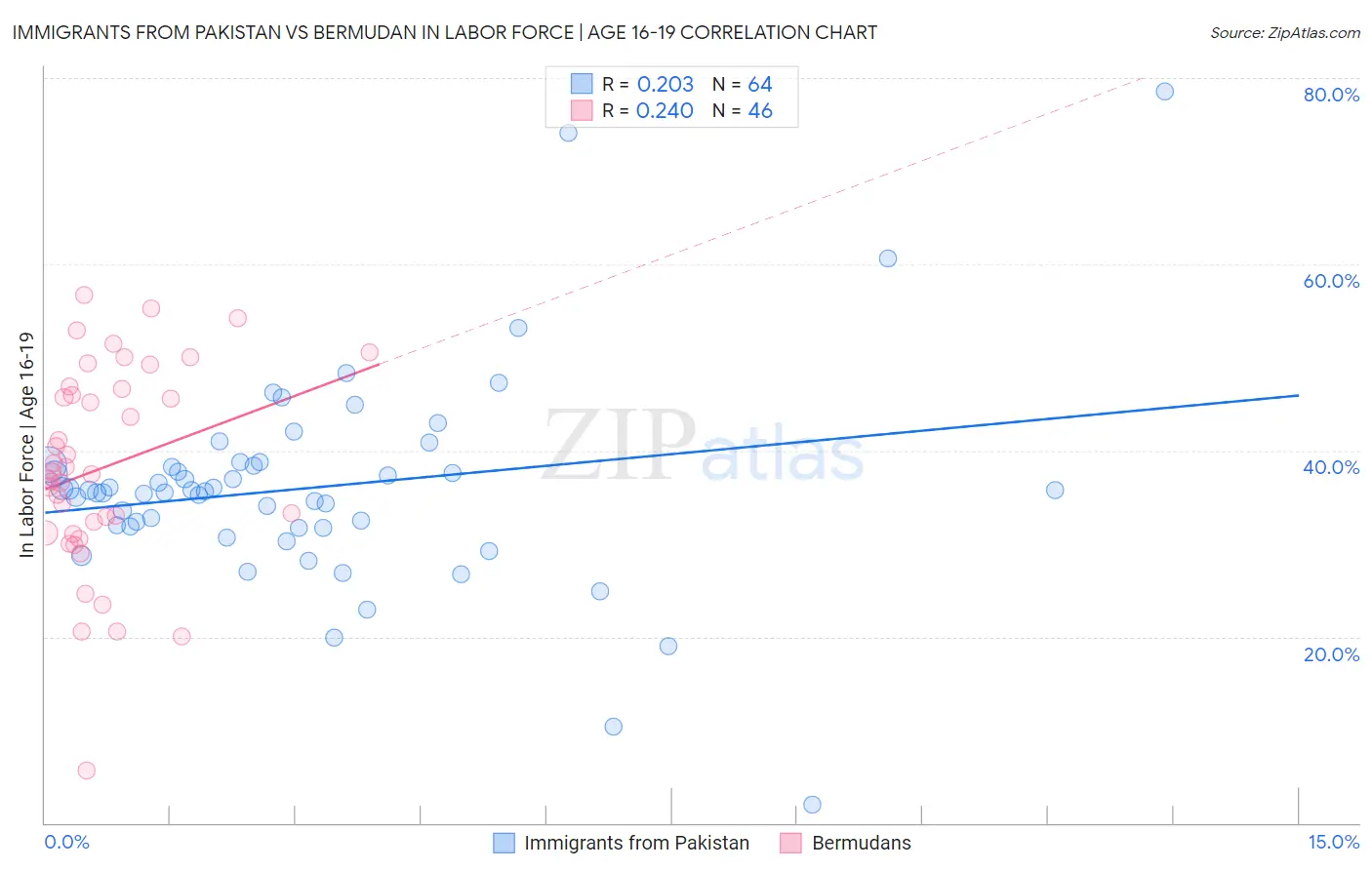 Immigrants from Pakistan vs Bermudan In Labor Force | Age 16-19