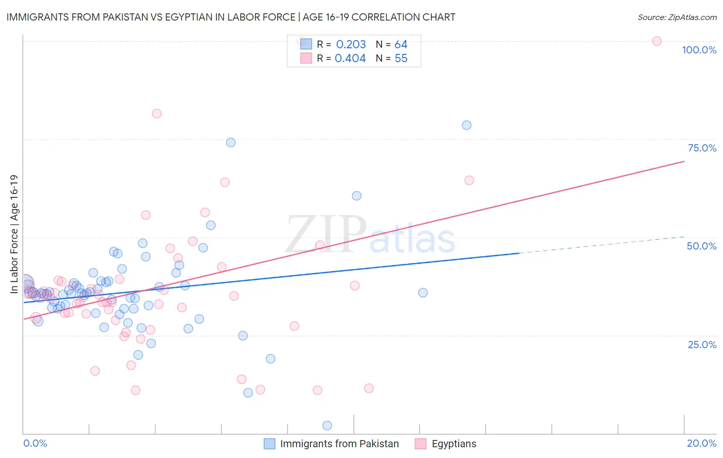 Immigrants from Pakistan vs Egyptian In Labor Force | Age 16-19