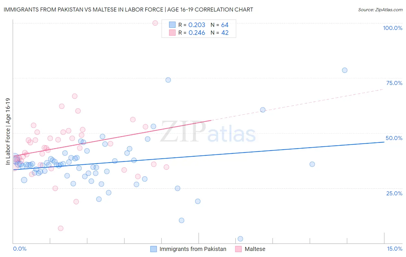 Immigrants from Pakistan vs Maltese In Labor Force | Age 16-19
