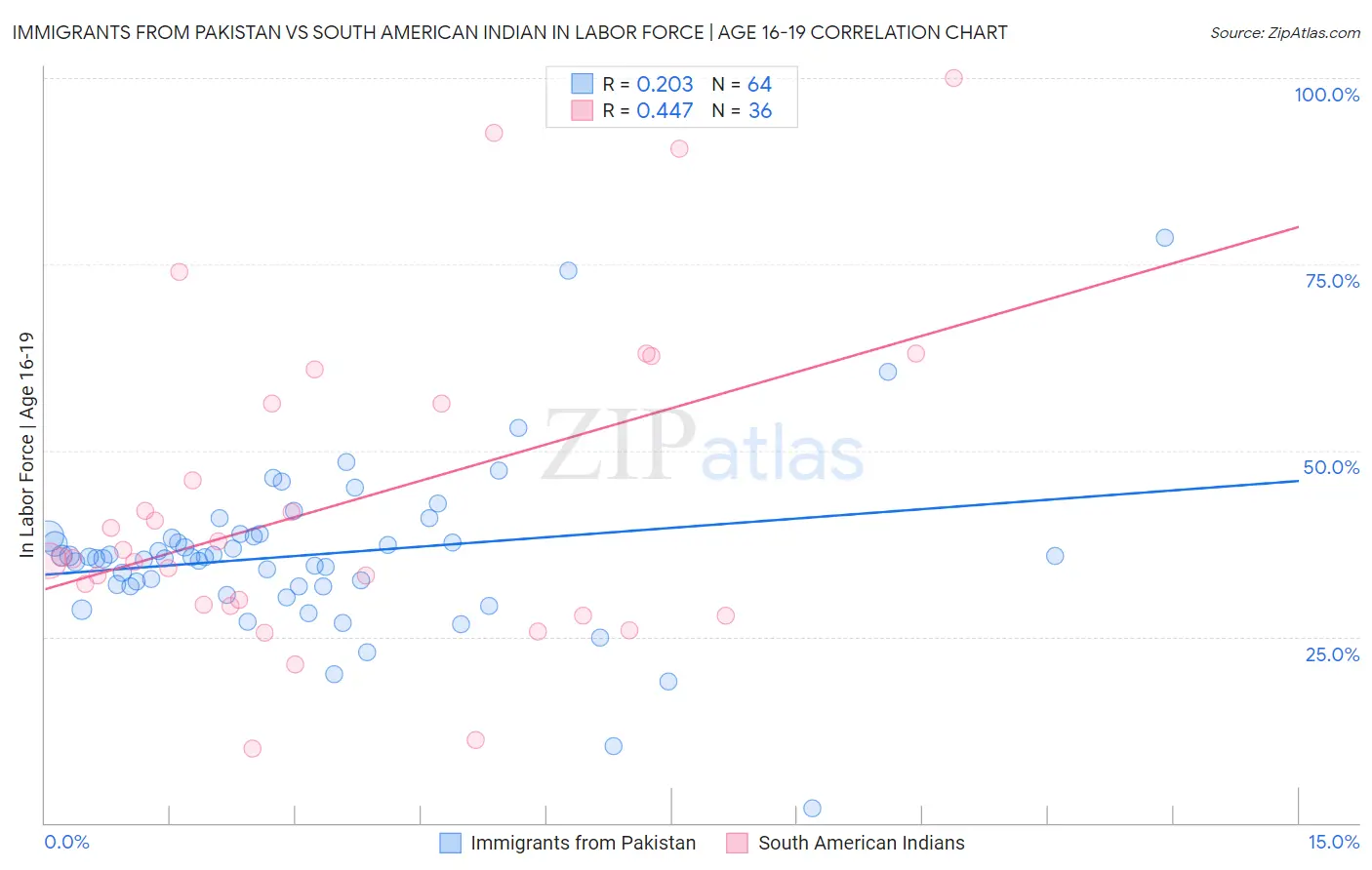 Immigrants from Pakistan vs South American Indian In Labor Force | Age 16-19