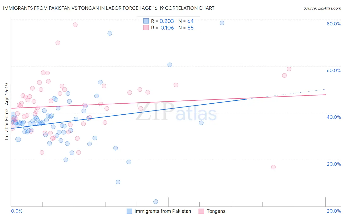 Immigrants from Pakistan vs Tongan In Labor Force | Age 16-19