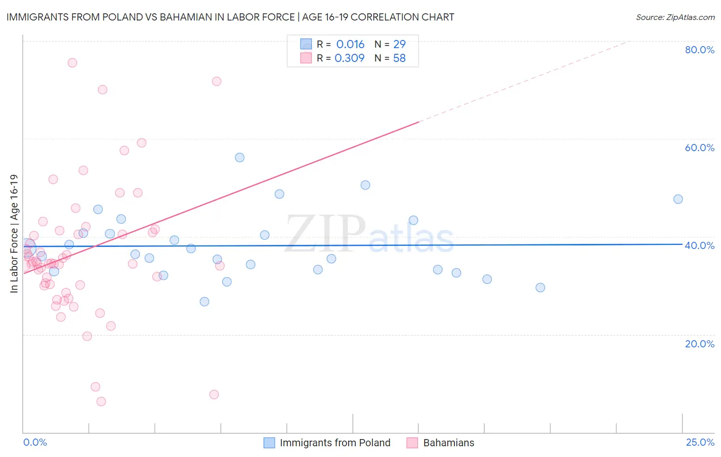 Immigrants from Poland vs Bahamian In Labor Force | Age 16-19
