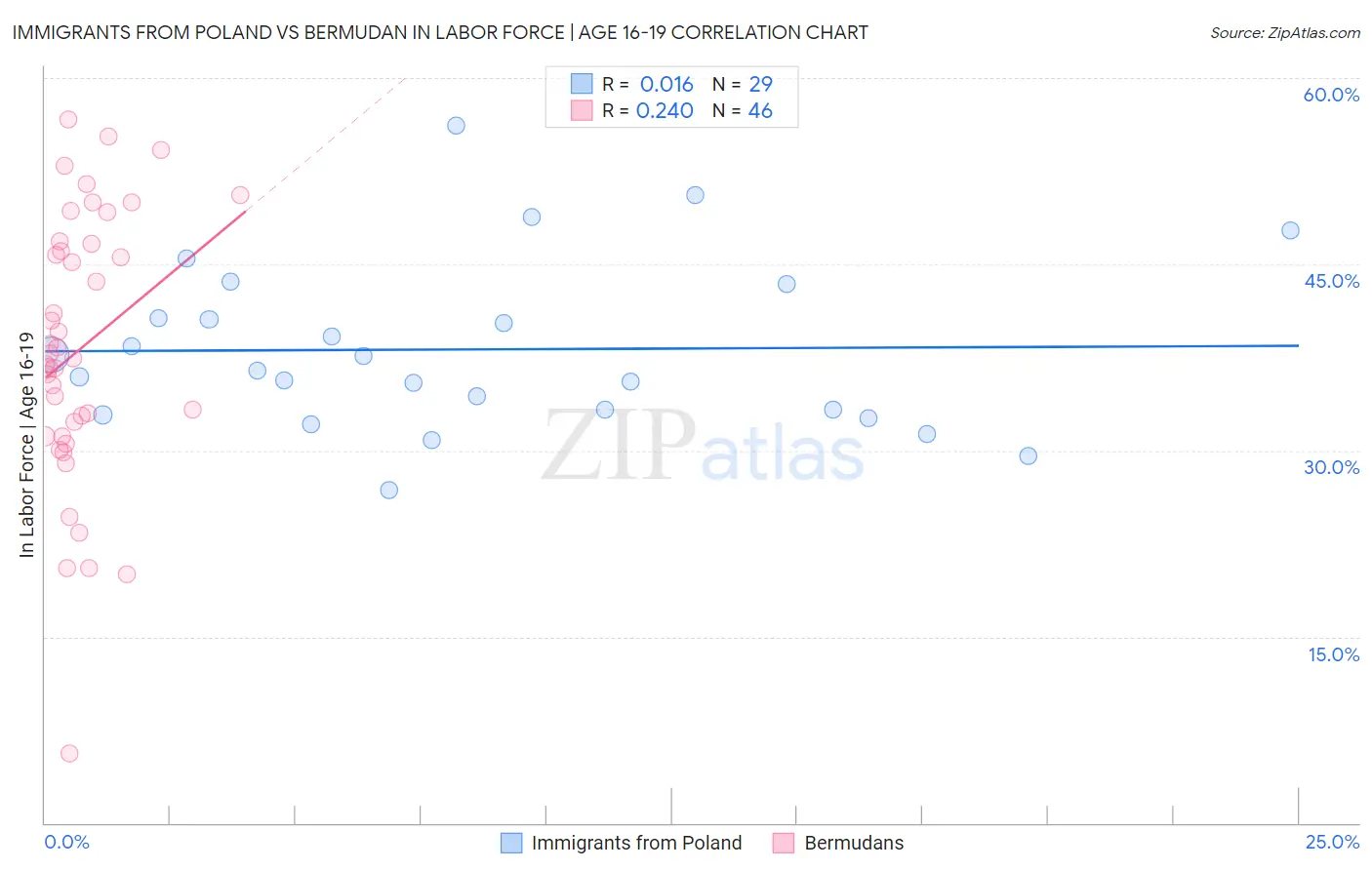 Immigrants from Poland vs Bermudan In Labor Force | Age 16-19