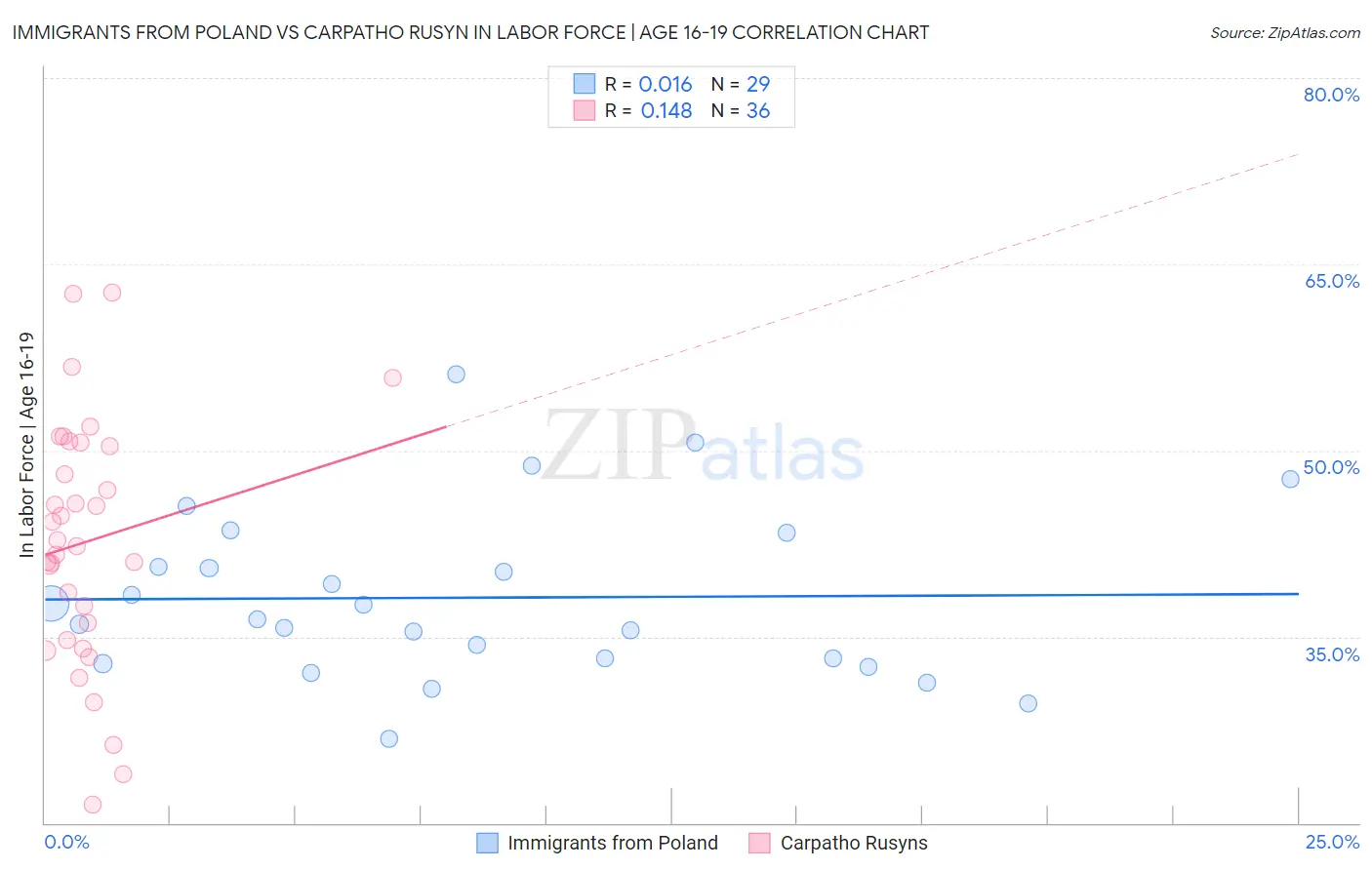 Immigrants from Poland vs Carpatho Rusyn In Labor Force | Age 16-19