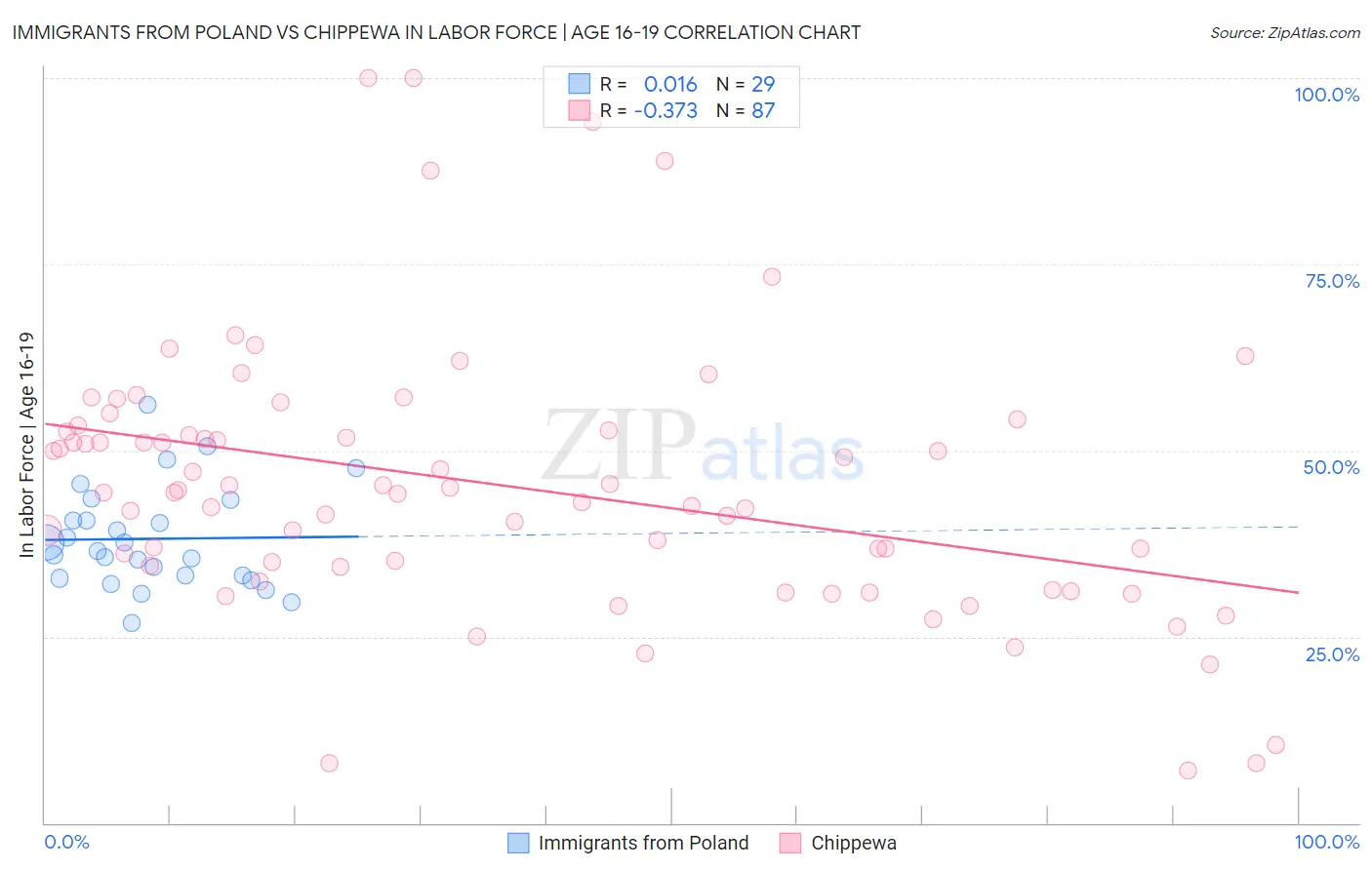 Immigrants from Poland vs Chippewa In Labor Force | Age 16-19