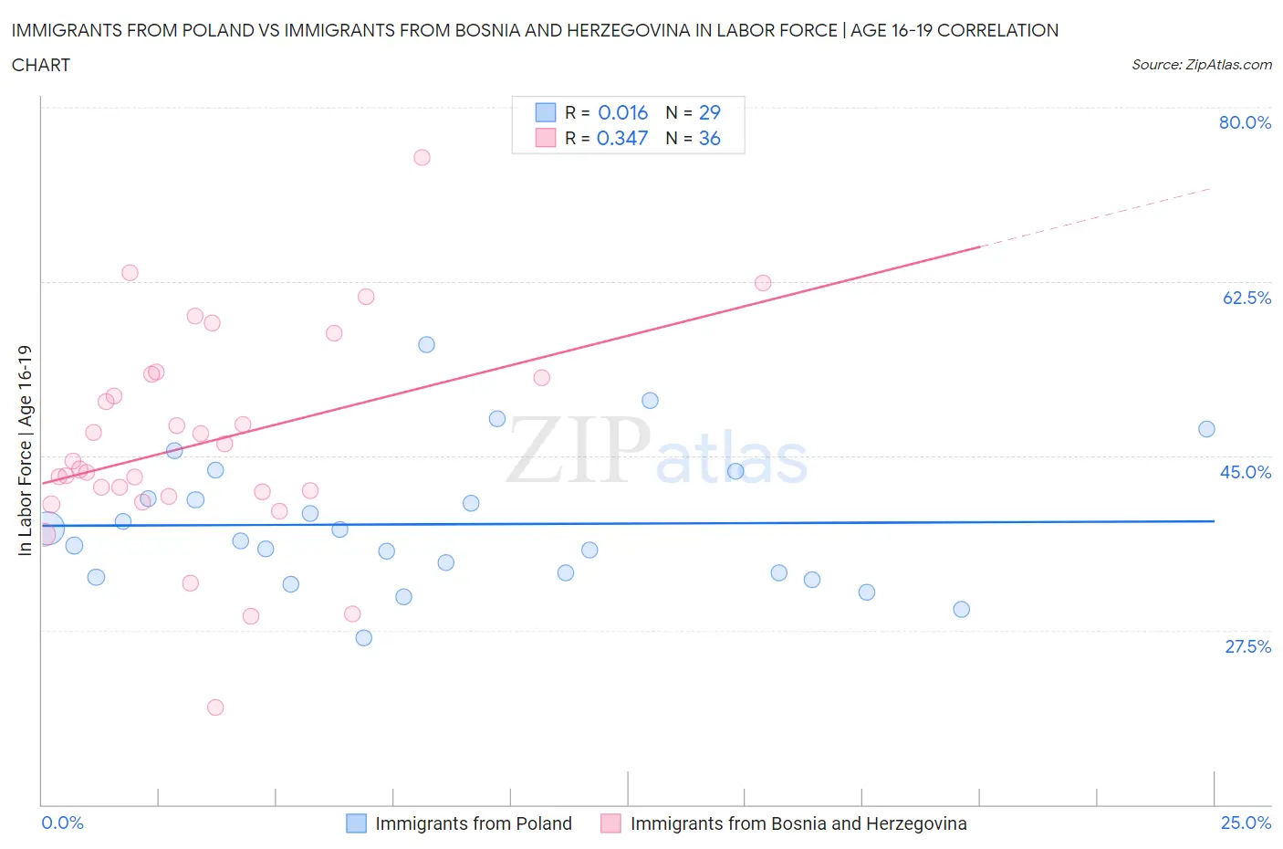 Immigrants from Poland vs Immigrants from Bosnia and Herzegovina In Labor Force | Age 16-19