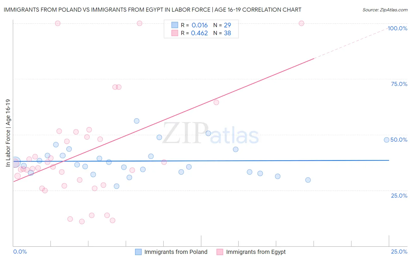 Immigrants from Poland vs Immigrants from Egypt In Labor Force | Age 16-19