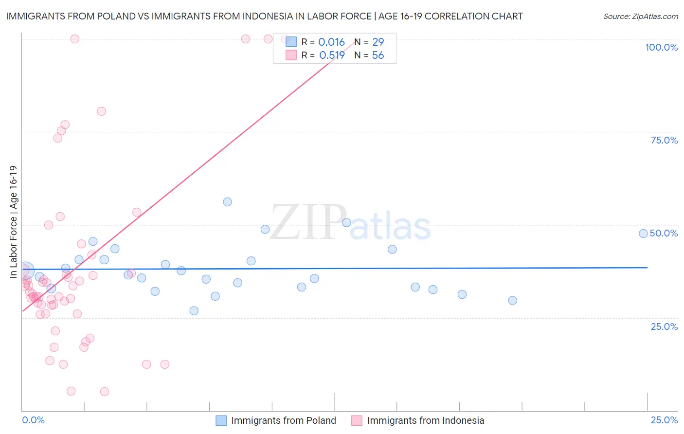 Immigrants from Poland vs Immigrants from Indonesia In Labor Force | Age 16-19