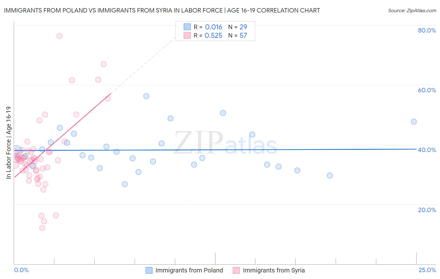 Immigrants from Poland vs Immigrants from Syria In Labor Force | Age 16-19