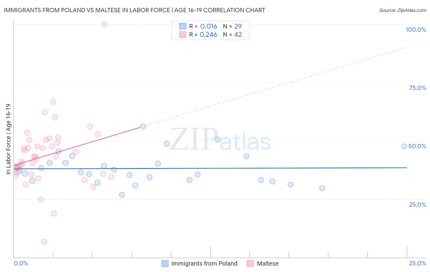 Immigrants from Poland vs Maltese In Labor Force | Age 16-19