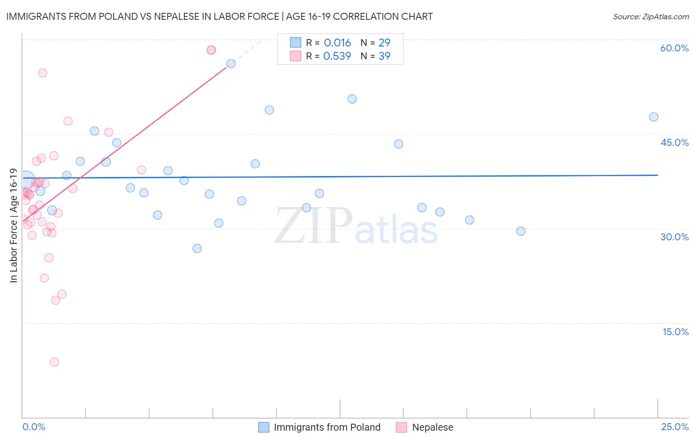 Immigrants from Poland vs Nepalese In Labor Force | Age 16-19