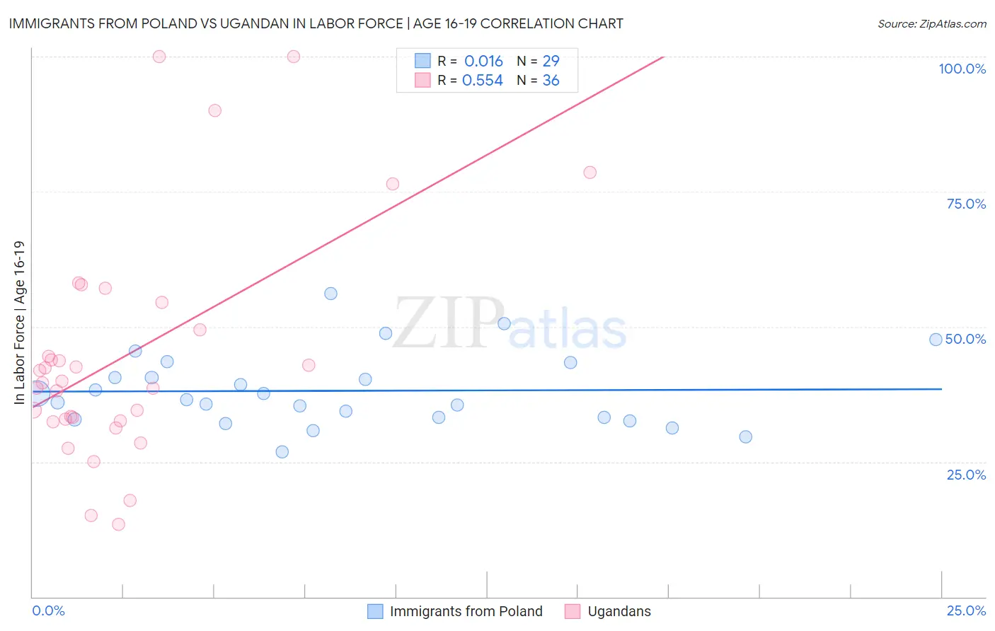 Immigrants from Poland vs Ugandan In Labor Force | Age 16-19