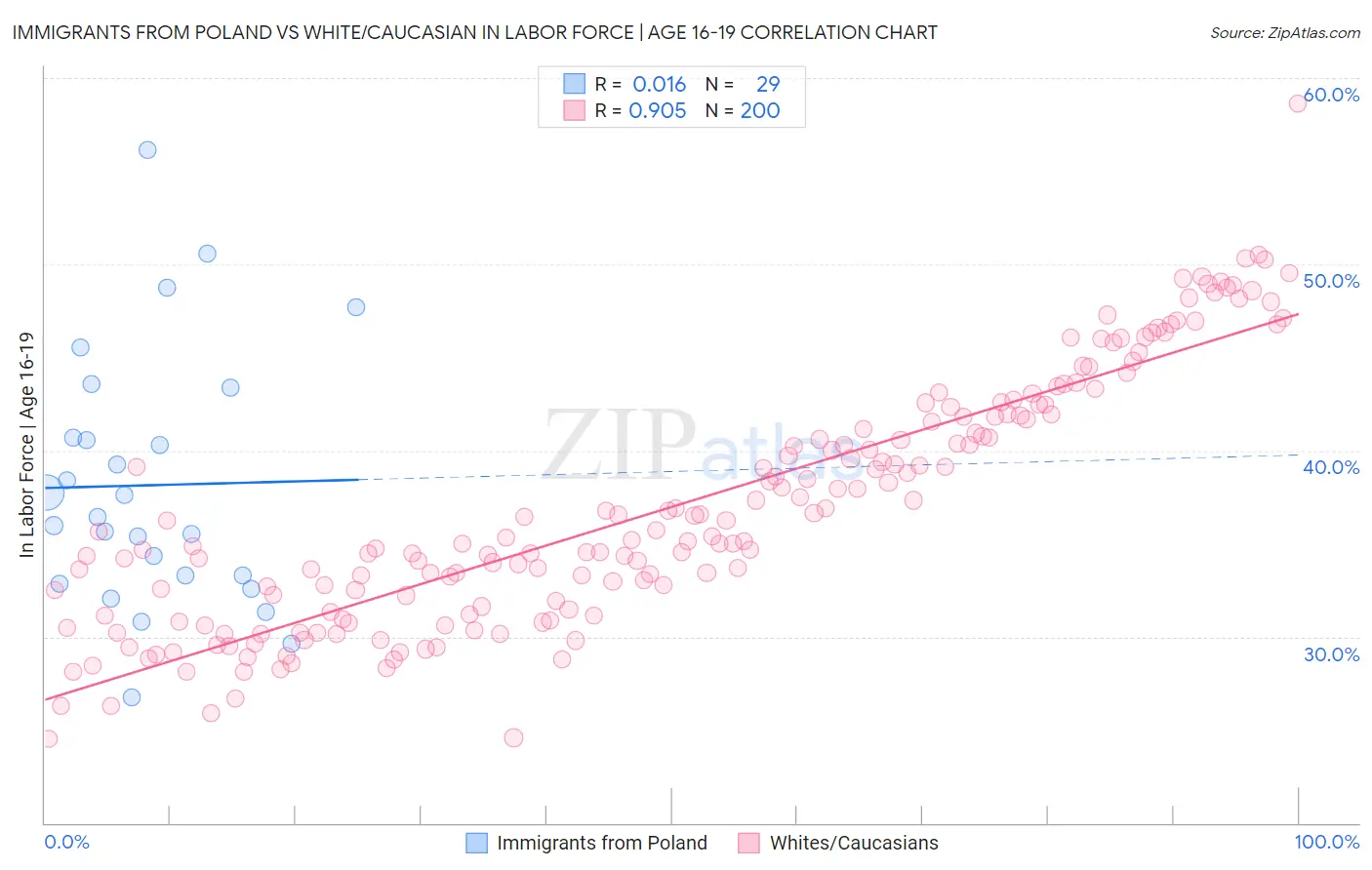 Immigrants from Poland vs White/Caucasian In Labor Force | Age 16-19