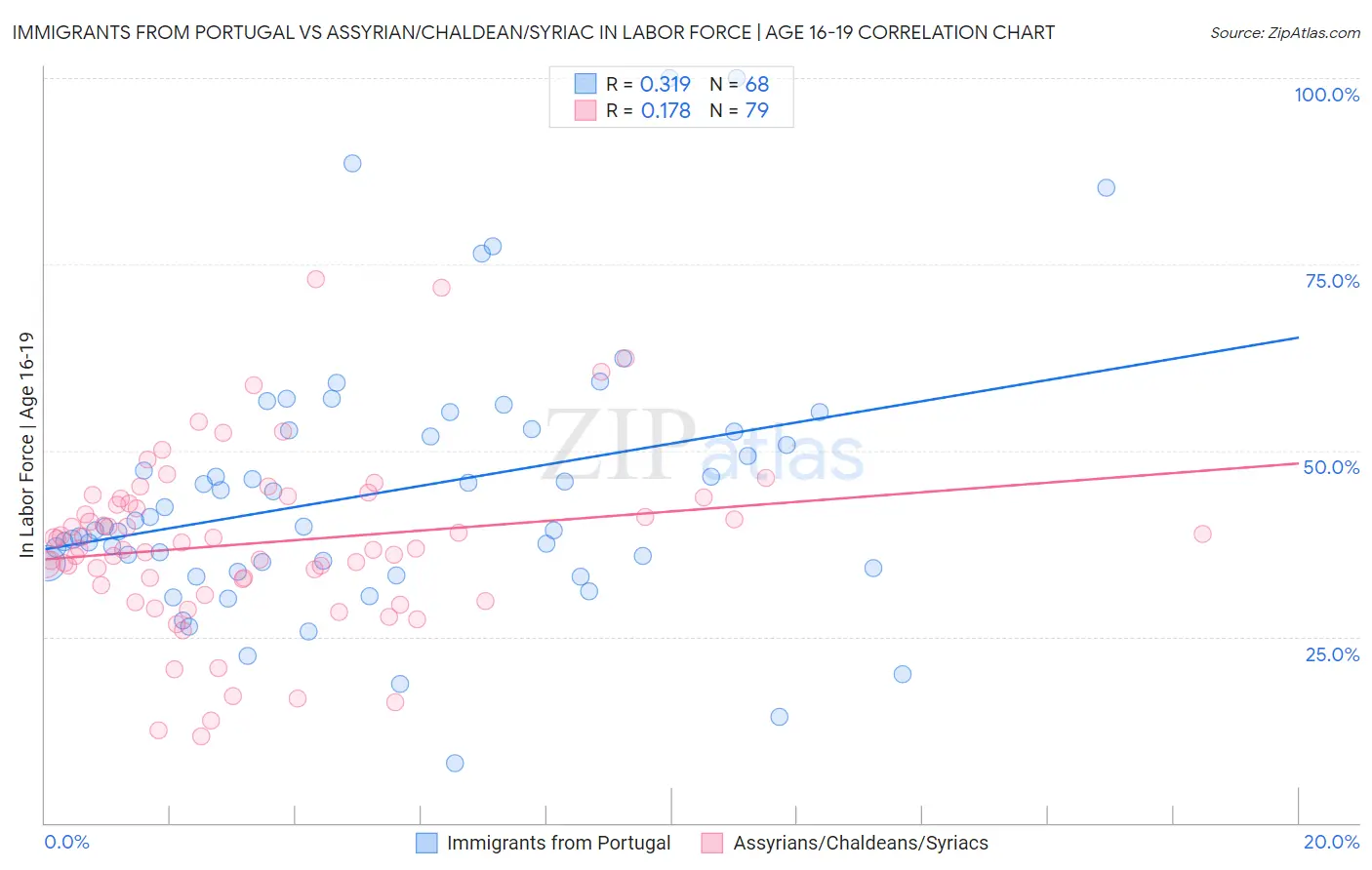 Immigrants from Portugal vs Assyrian/Chaldean/Syriac In Labor Force | Age 16-19