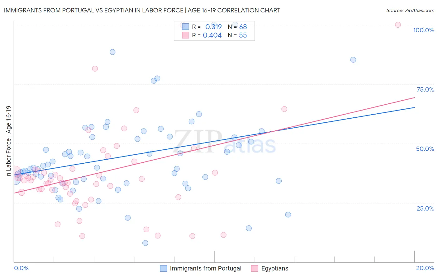 Immigrants from Portugal vs Egyptian In Labor Force | Age 16-19