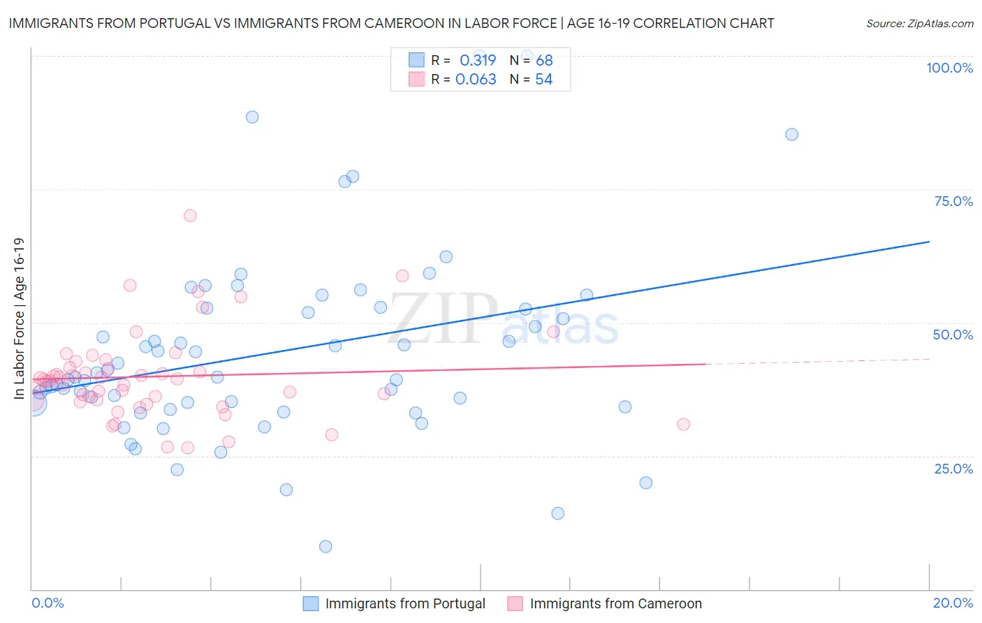 Immigrants from Portugal vs Immigrants from Cameroon In Labor Force | Age 16-19