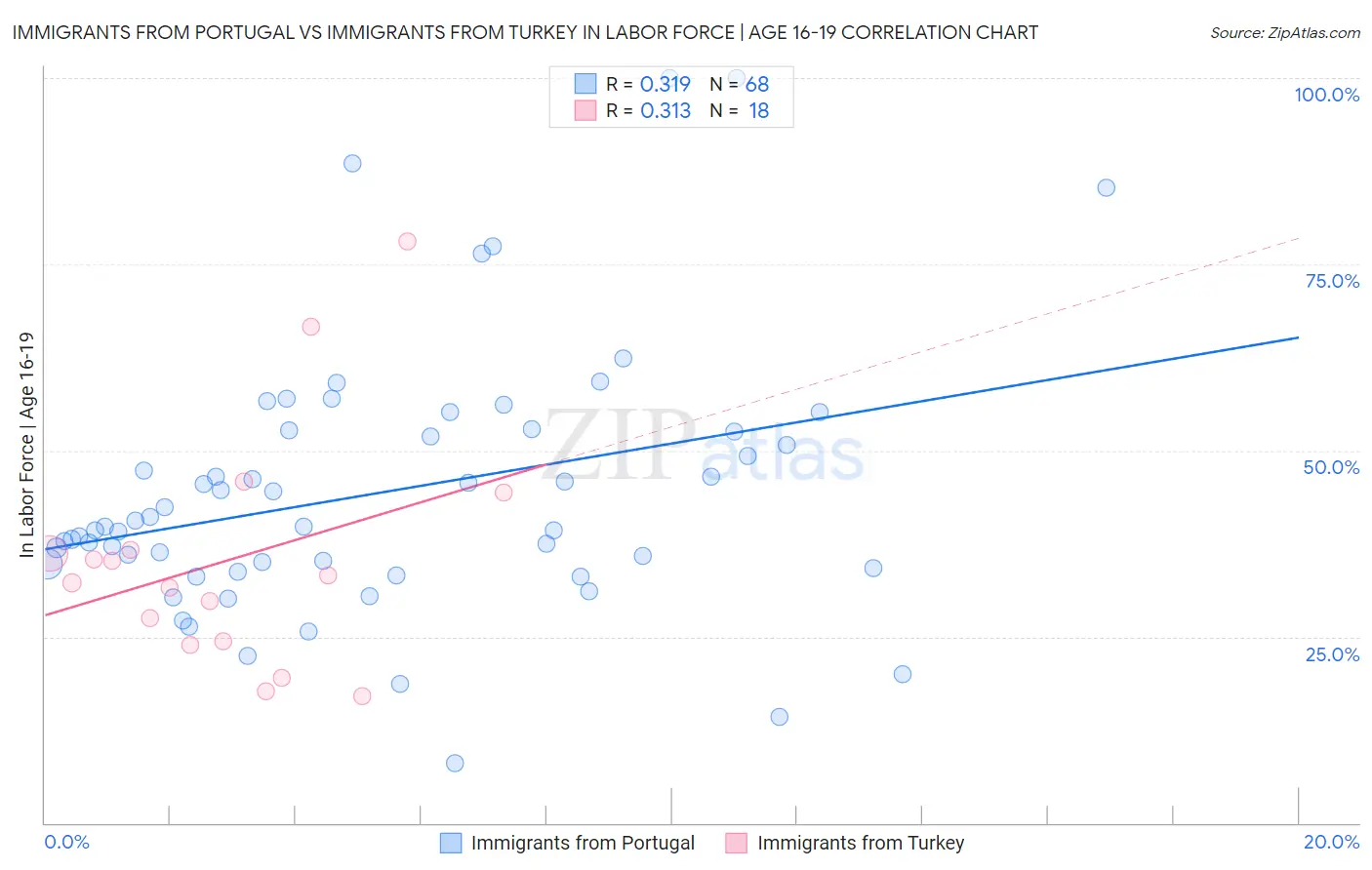 Immigrants from Portugal vs Immigrants from Turkey In Labor Force | Age 16-19