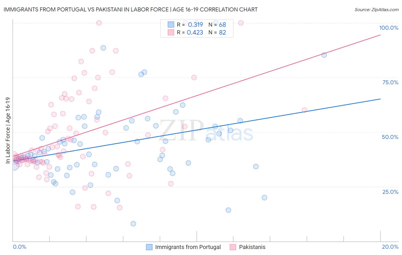 Immigrants from Portugal vs Pakistani In Labor Force | Age 16-19