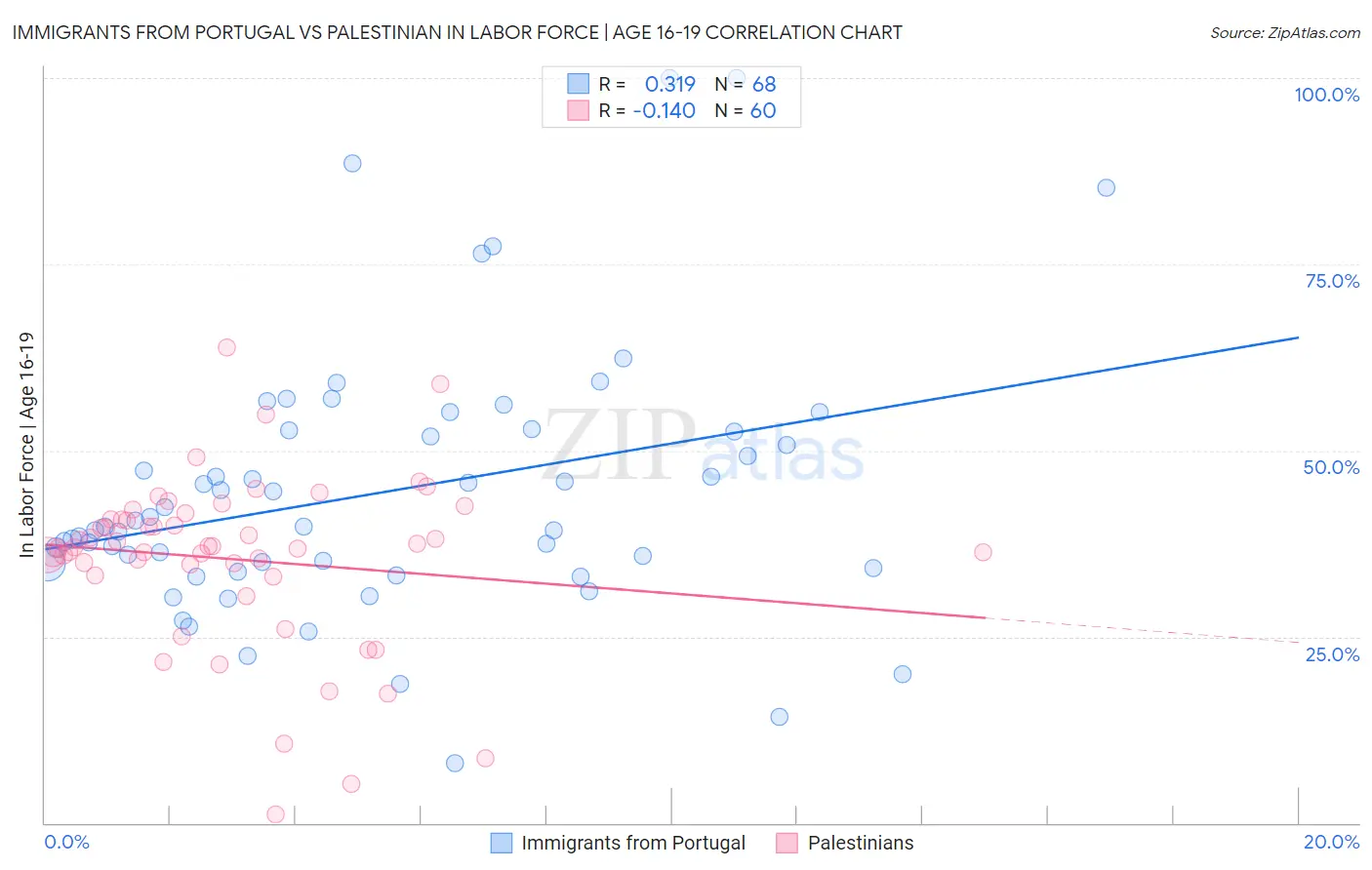 Immigrants from Portugal vs Palestinian In Labor Force | Age 16-19