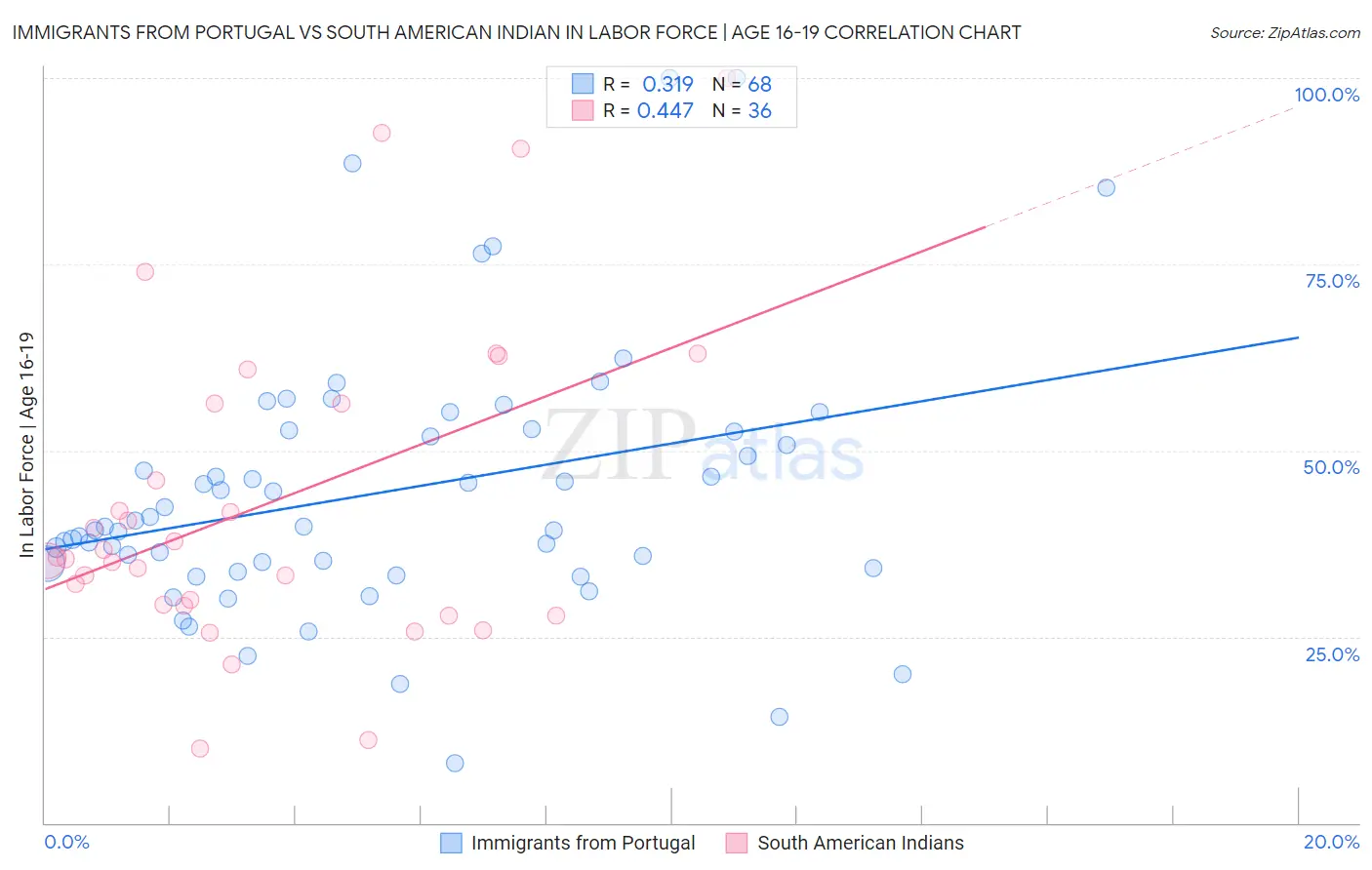 Immigrants from Portugal vs South American Indian In Labor Force | Age 16-19