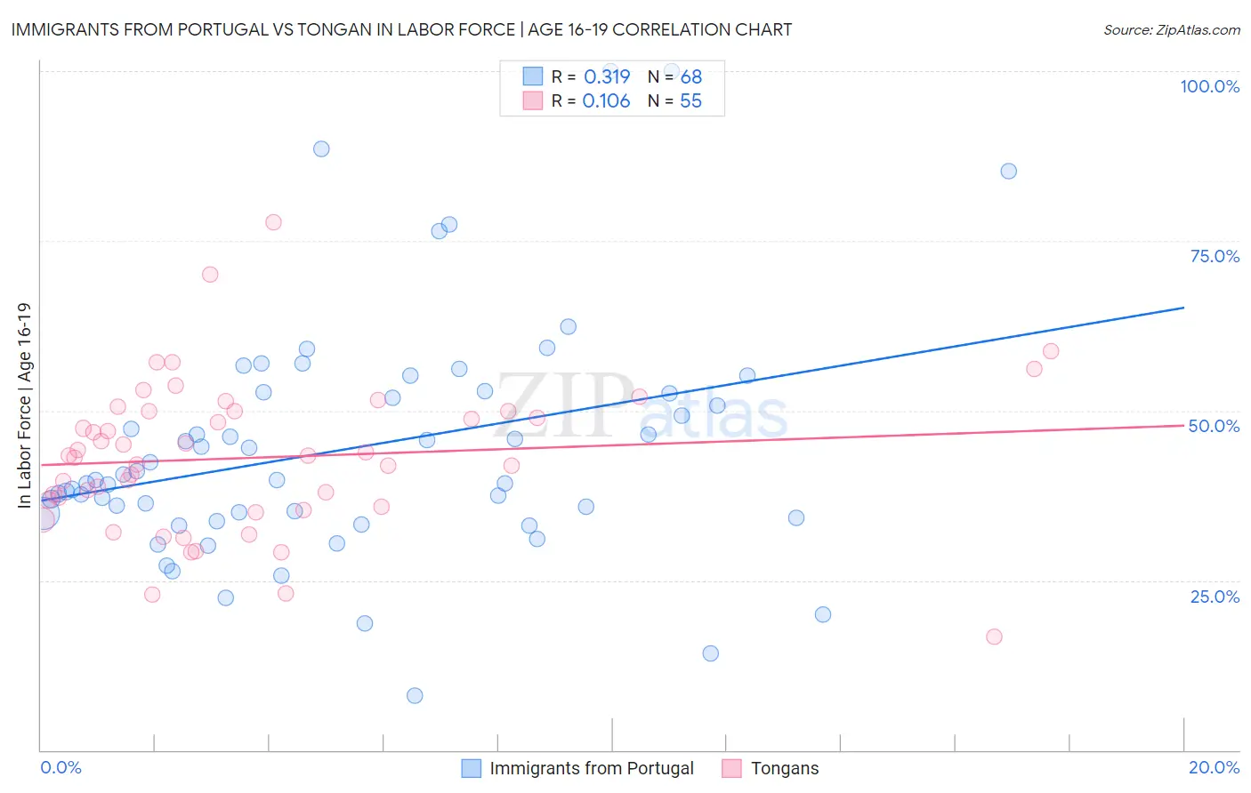 Immigrants from Portugal vs Tongan In Labor Force | Age 16-19