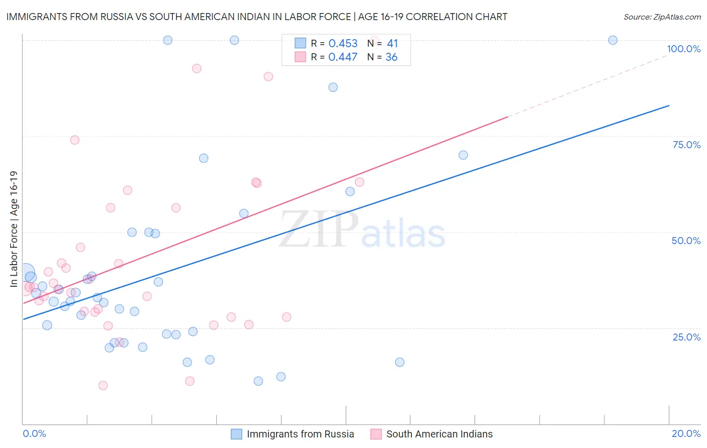 Immigrants from Russia vs South American Indian In Labor Force | Age 16-19
