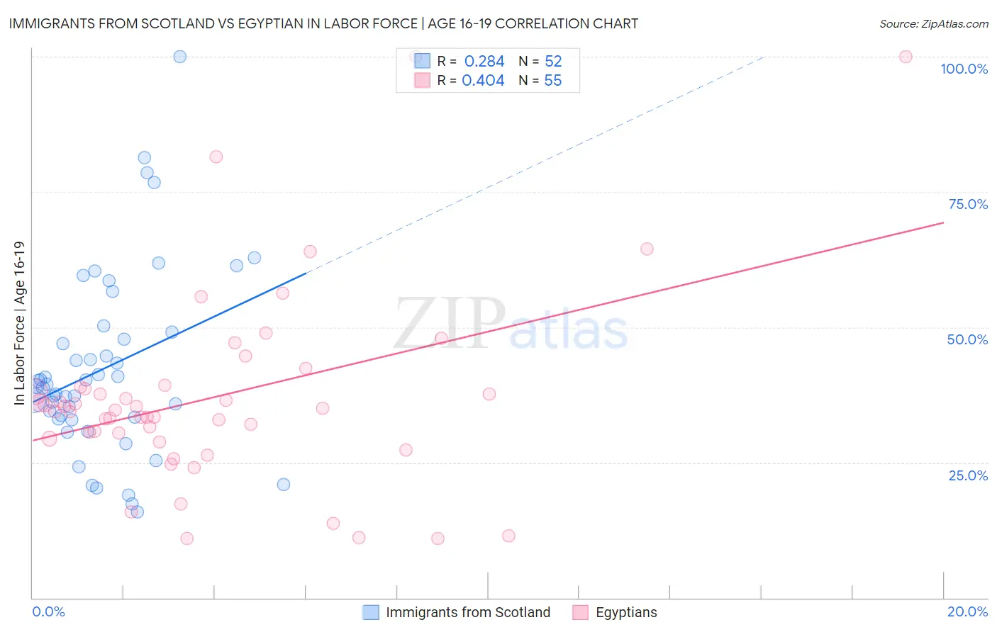 Immigrants from Scotland vs Egyptian In Labor Force | Age 16-19