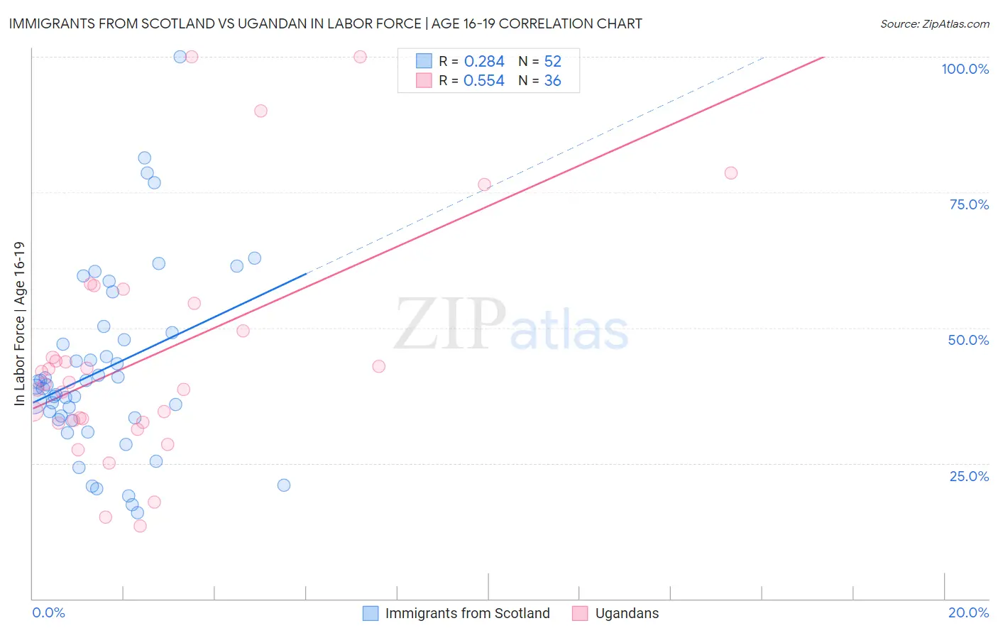 Immigrants from Scotland vs Ugandan In Labor Force | Age 16-19