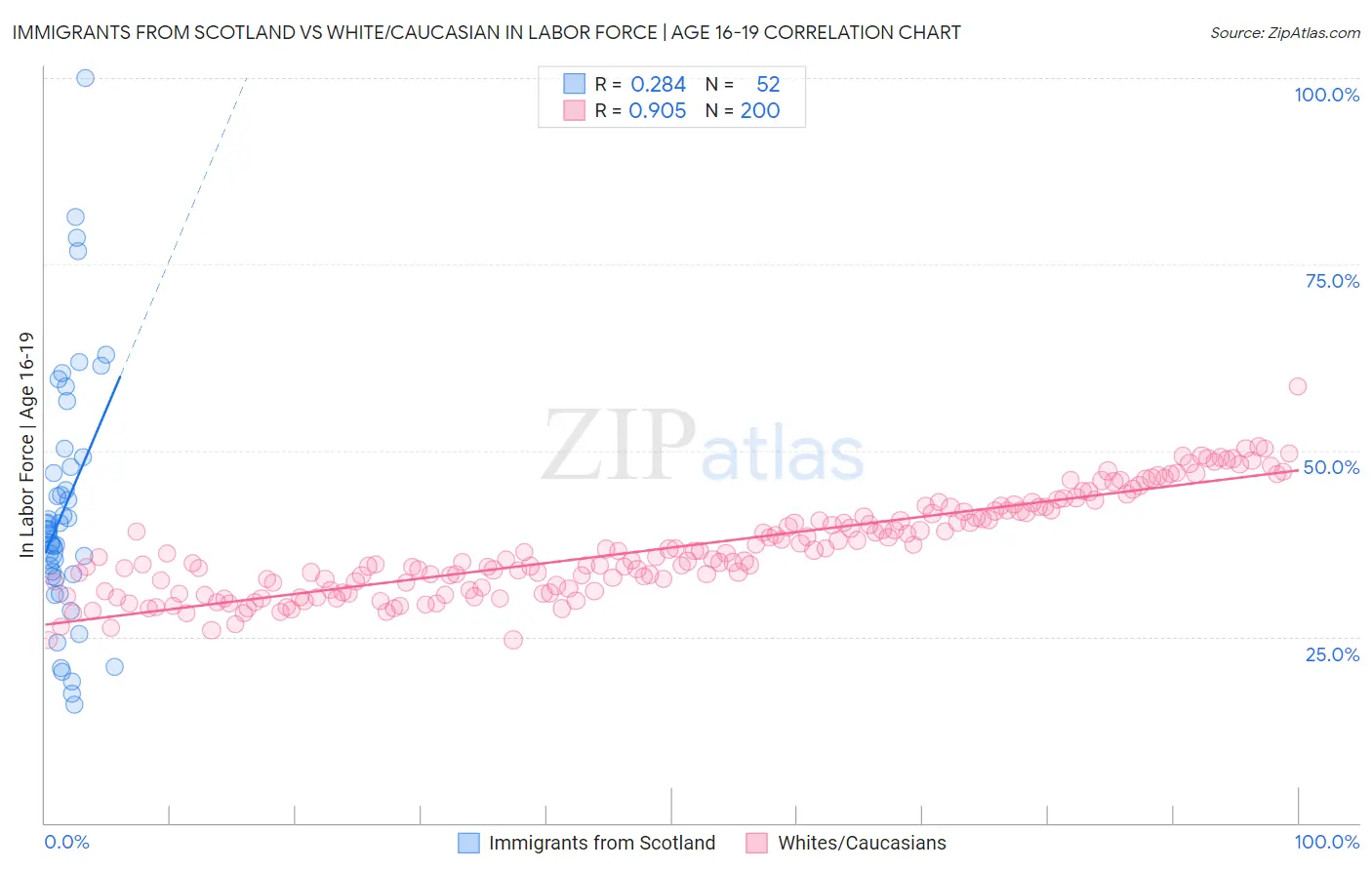 Immigrants from Scotland vs White/Caucasian In Labor Force | Age 16-19