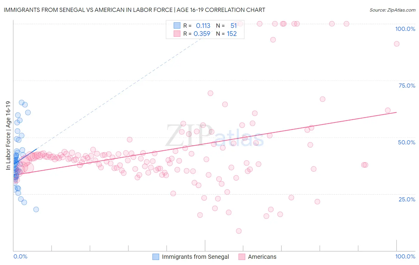 Immigrants from Senegal vs American In Labor Force | Age 16-19