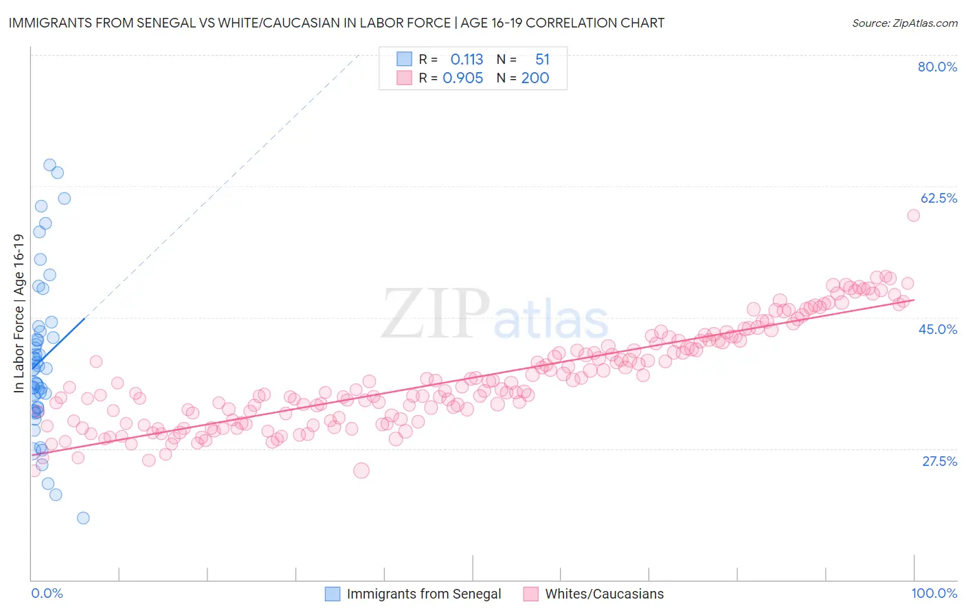Immigrants from Senegal vs White/Caucasian In Labor Force | Age 16-19