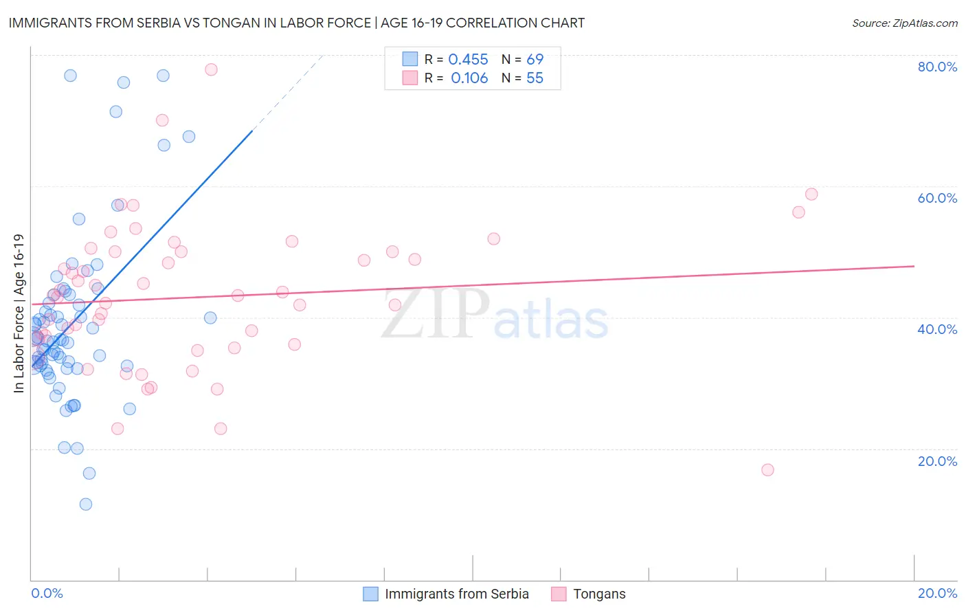 Immigrants from Serbia vs Tongan In Labor Force | Age 16-19