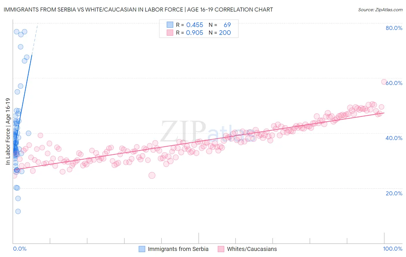 Immigrants from Serbia vs White/Caucasian In Labor Force | Age 16-19