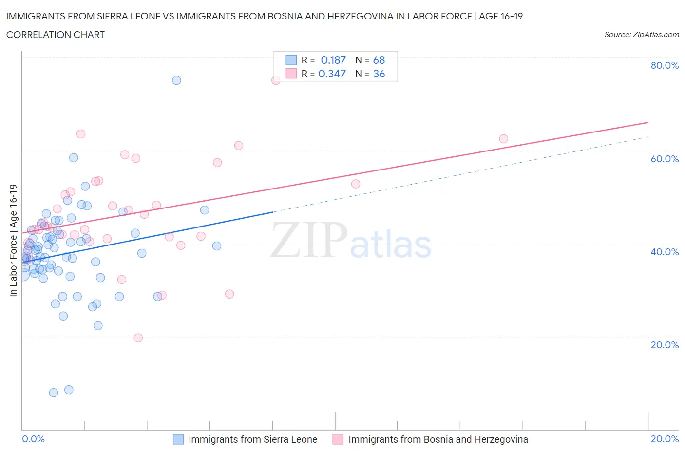 Immigrants from Sierra Leone vs Immigrants from Bosnia and Herzegovina In Labor Force | Age 16-19
