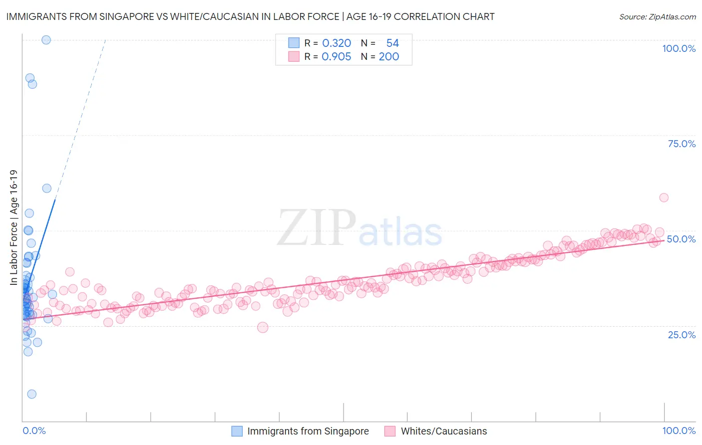 Immigrants from Singapore vs White/Caucasian In Labor Force | Age 16-19