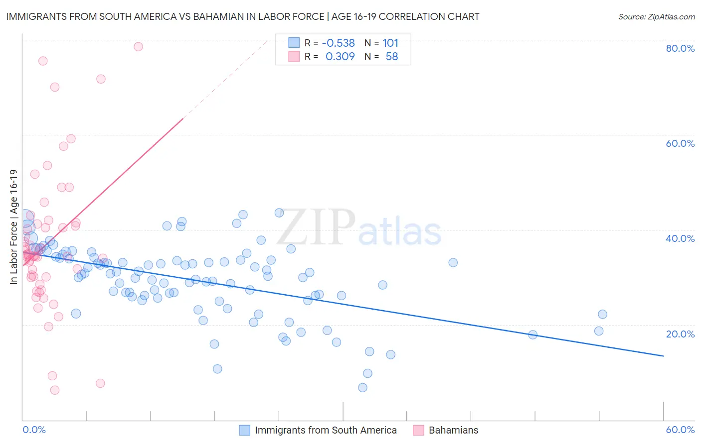 Immigrants from South America vs Bahamian In Labor Force | Age 16-19