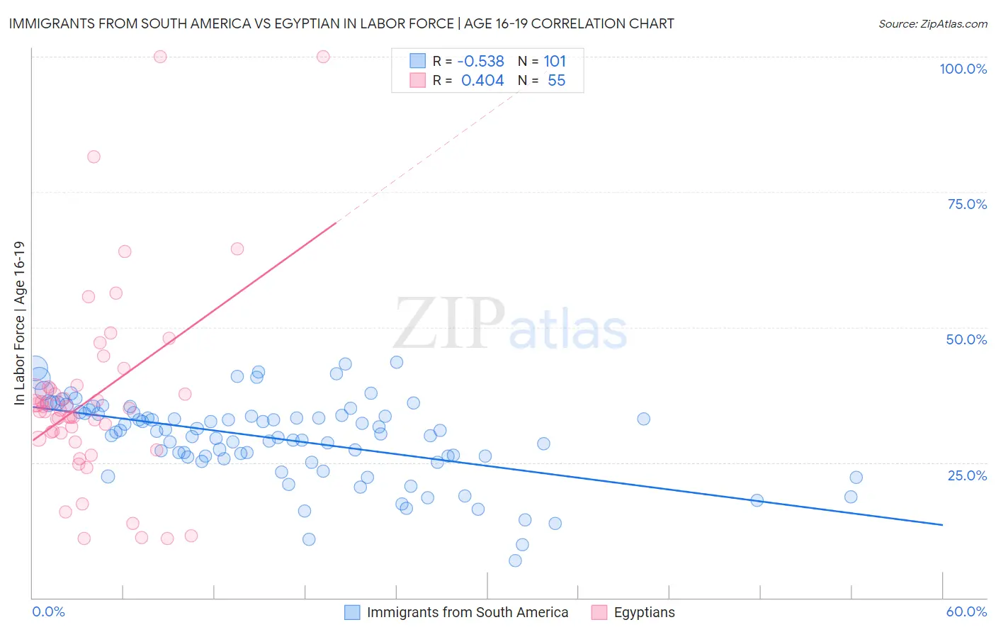 Immigrants from South America vs Egyptian In Labor Force | Age 16-19