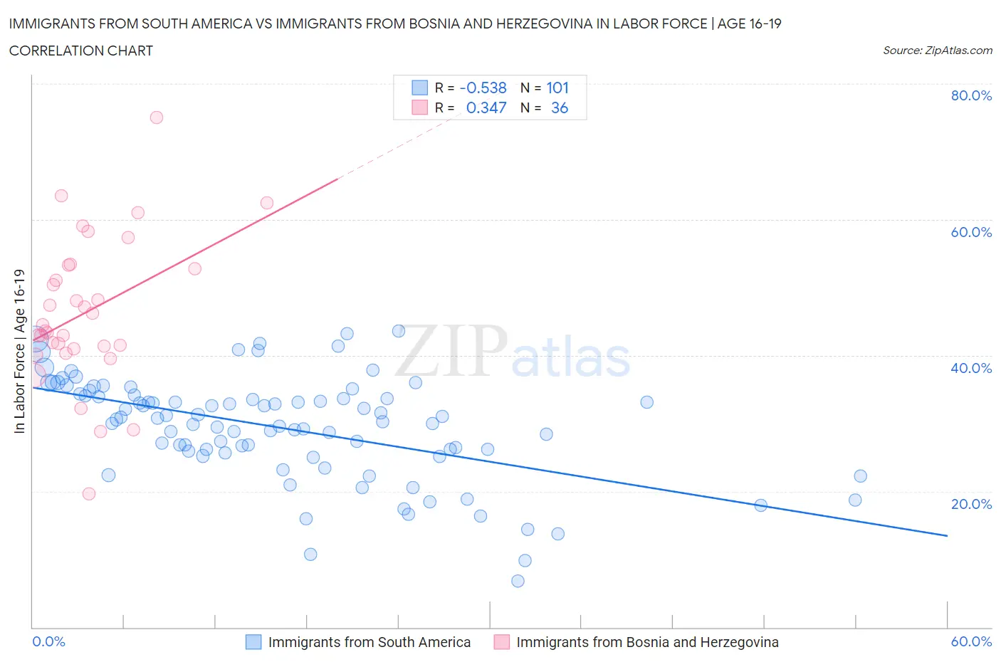 Immigrants from South America vs Immigrants from Bosnia and Herzegovina In Labor Force | Age 16-19