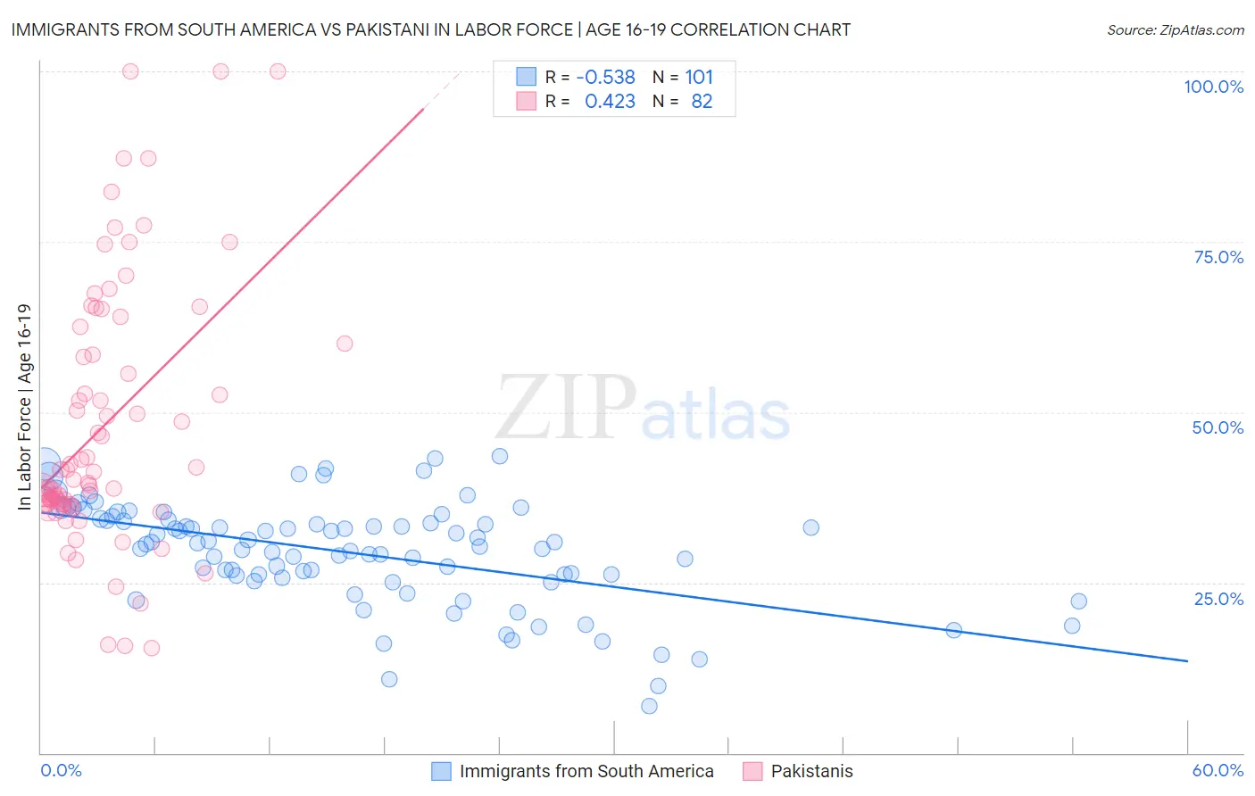 Immigrants from South America vs Pakistani In Labor Force | Age 16-19