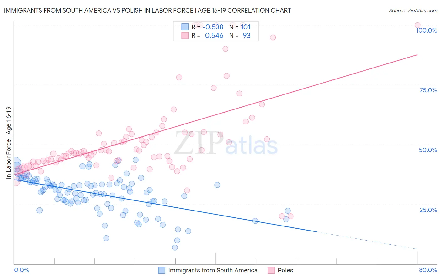 Immigrants from South America vs Polish In Labor Force | Age 16-19
