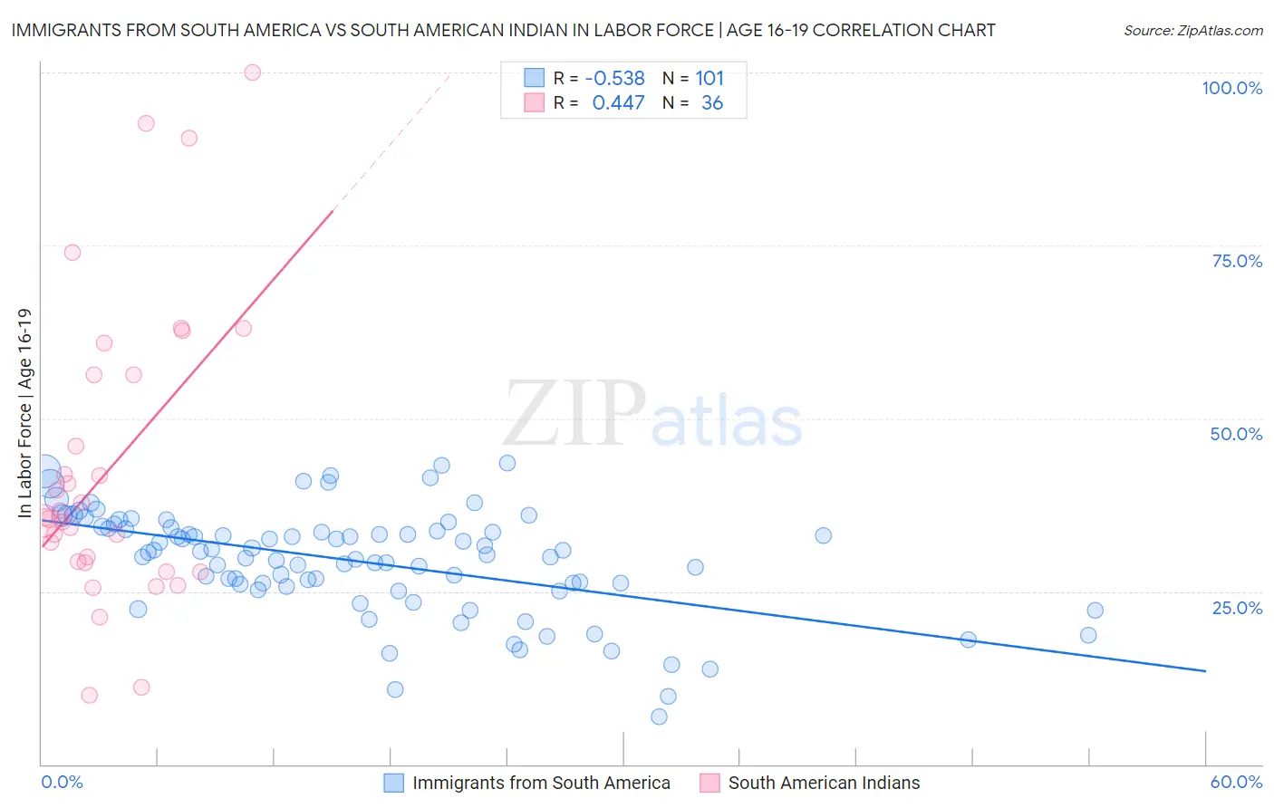 Immigrants from South America vs South American Indian In Labor Force | Age 16-19