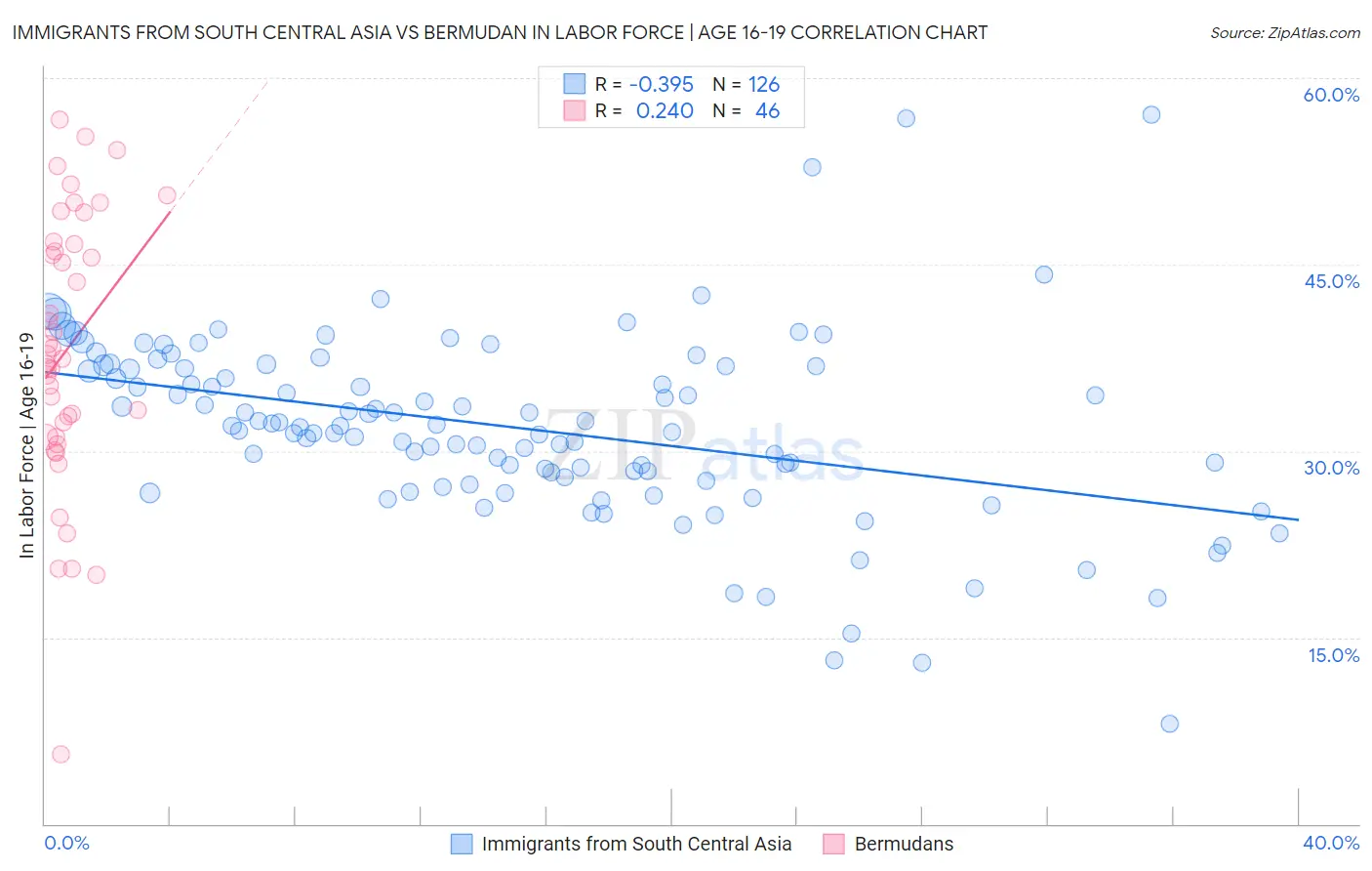 Immigrants from South Central Asia vs Bermudan In Labor Force | Age 16-19