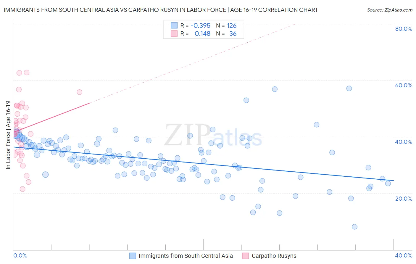 Immigrants from South Central Asia vs Carpatho Rusyn In Labor Force | Age 16-19