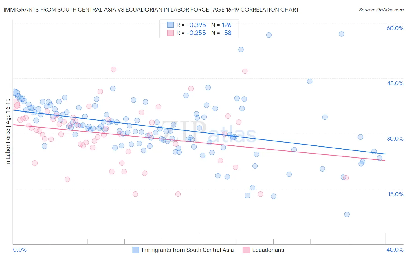 Immigrants from South Central Asia vs Ecuadorian In Labor Force | Age 16-19