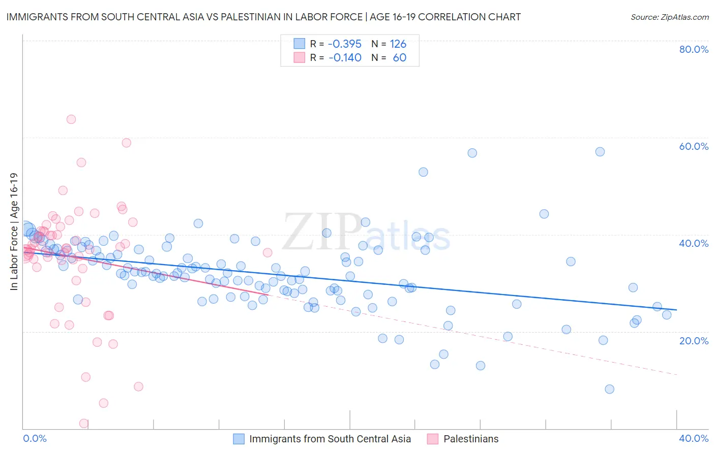 Immigrants from South Central Asia vs Palestinian In Labor Force | Age 16-19