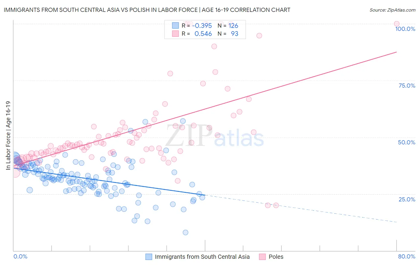 Immigrants from South Central Asia vs Polish In Labor Force | Age 16-19