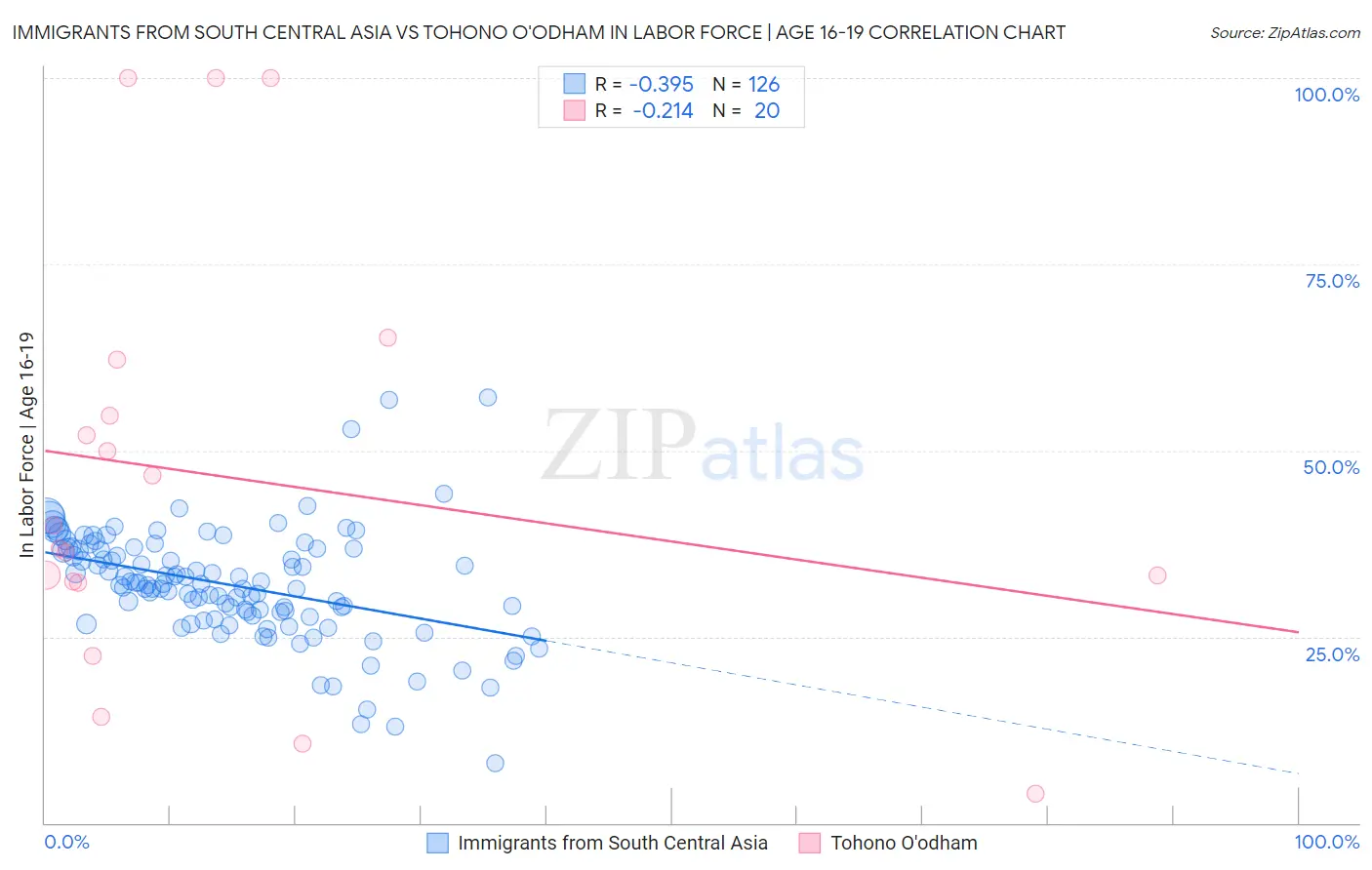 Immigrants from South Central Asia vs Tohono O'odham In Labor Force | Age 16-19