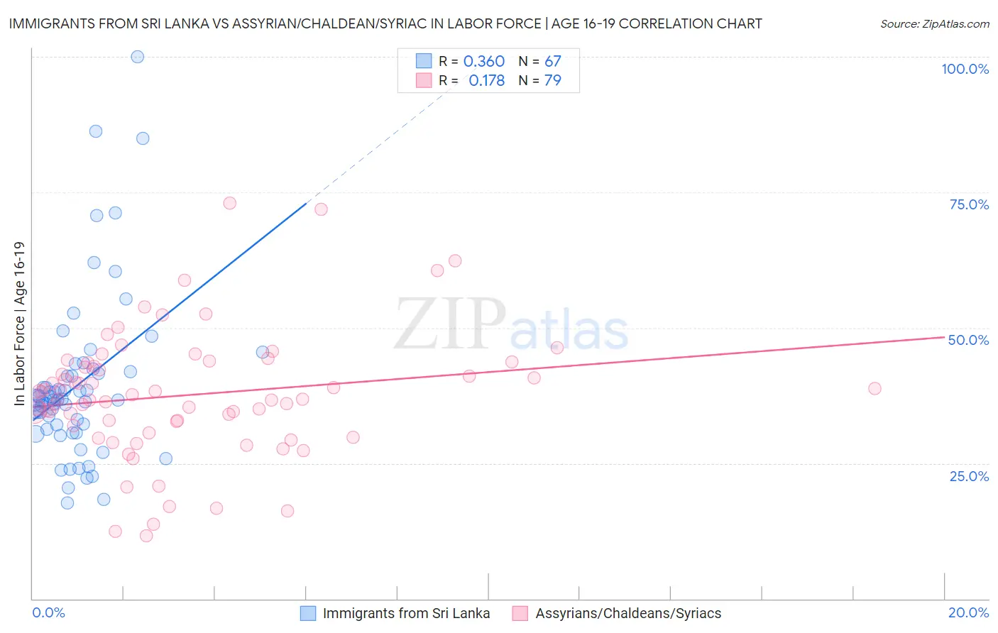 Immigrants from Sri Lanka vs Assyrian/Chaldean/Syriac In Labor Force | Age 16-19