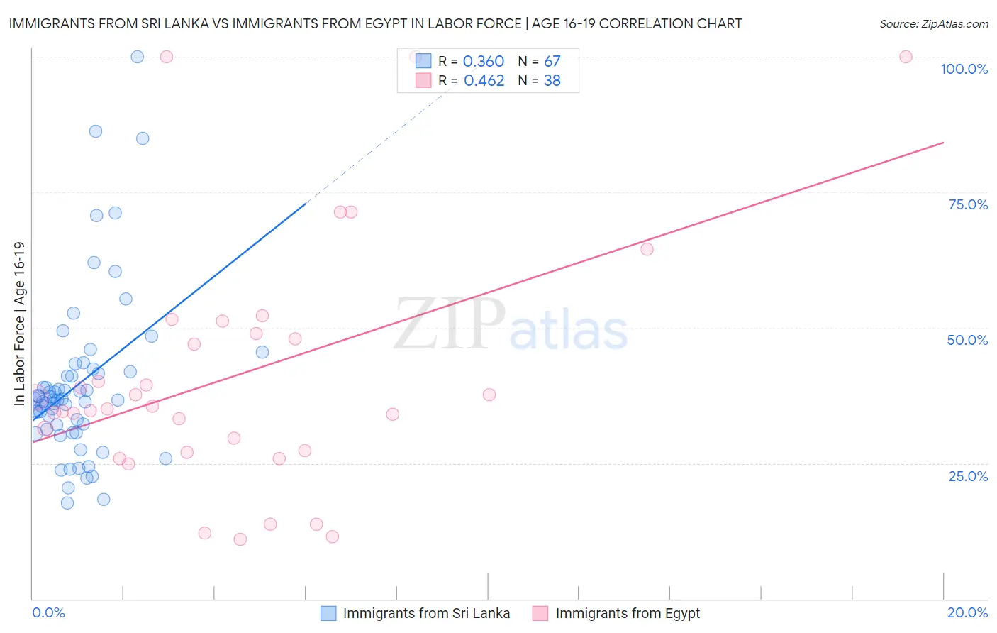 Immigrants from Sri Lanka vs Immigrants from Egypt In Labor Force | Age 16-19